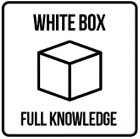 WHITE-BOX penetration TEST